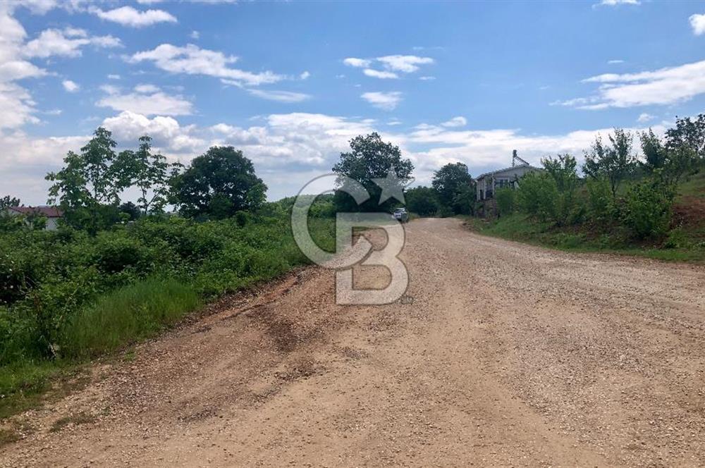 CB CLASS KESTEL GÖZEDE KÖŞE PARSEL 3.302 m² MÜSTAKİL TARLA
