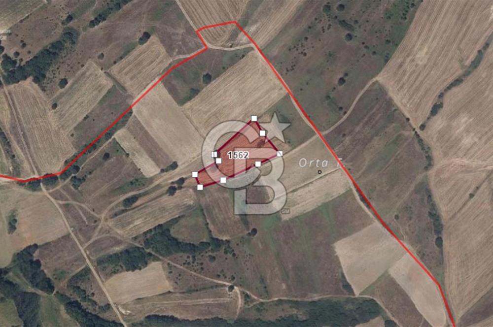 Edirne Uzunköprü Kırkkavak Köyü'nde Satılık Tarla