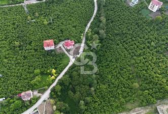TRABZON BENGİSU DA AZ EĞİMLİ 60 METRE YOLA CEPHE SATILIK ARAZİ