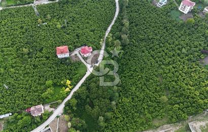 TRABZON BENGİSU DA AZ EĞİMLİ 60 METRE YOLA CEPHE SATILIK ARAZİ