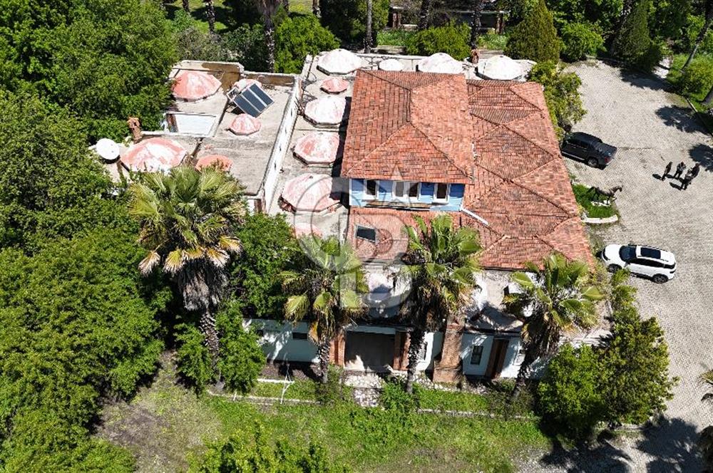 Doğanın Kalbinde Eşsiz Bir Yaşam, Muğla Köyceğiz’de 75 Dönümde Masalsı Malikane ve At Çiftliği 