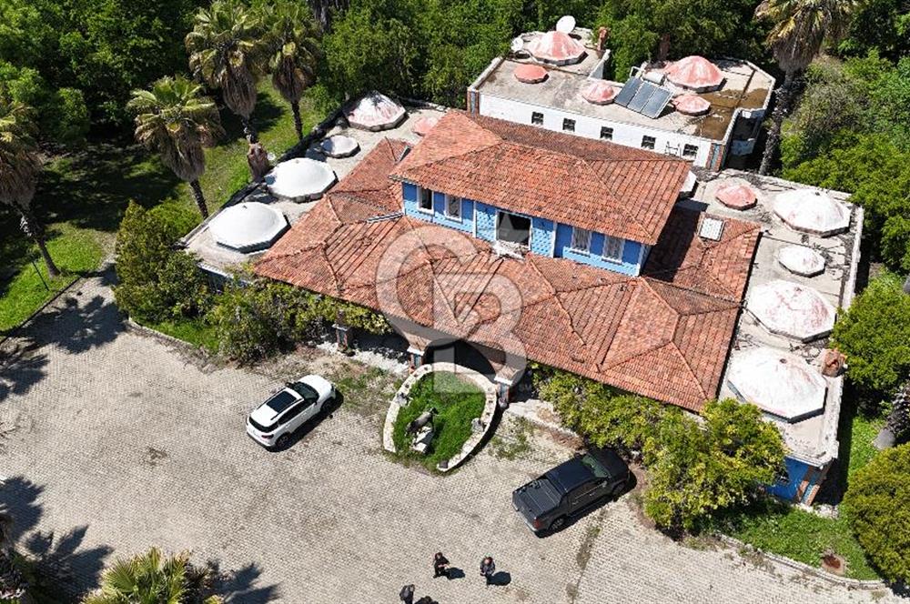 Doğanın Kalbinde Eşsiz Bir Yaşam, Muğla Köyceğiz’de 75 Dönümde Masalsı Malikane ve At Çiftliği 