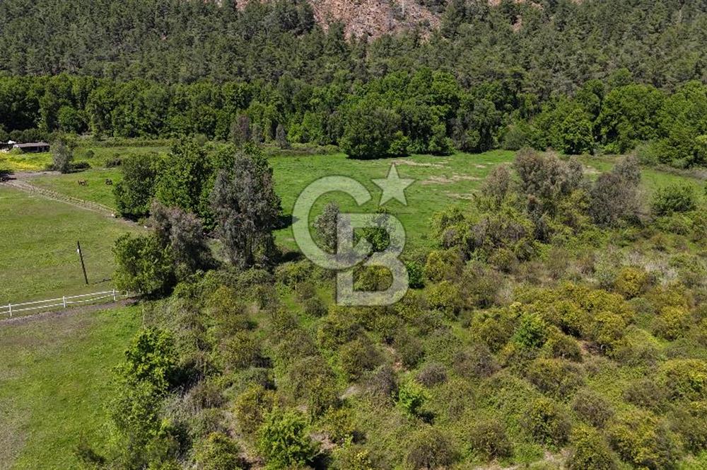 Doğanın Kalbinde Eşsiz Bir Yaşam, Muğla Köyceğiz’de 75 Dönümde Masalsı Malikane ve At Çiftliği 