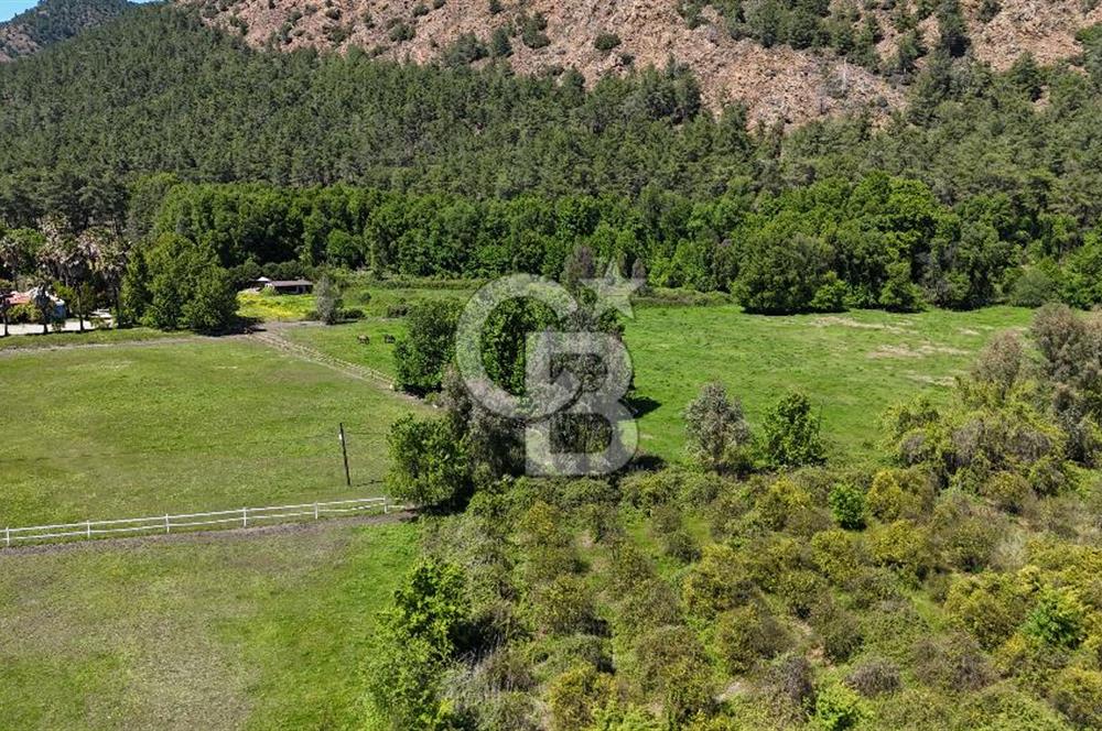 Doğanın Kalbinde Eşsiz Bir Yaşam, Muğla Köyceğiz’de 75 Dönümde Masalsı Malikane ve At Çiftliği 