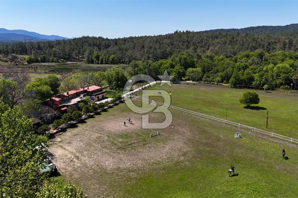 Doğanın Kalbinde Eşsiz Bir Yaşam, Muğla Köyceğiz’de 75 Dönümde Masalsı Malikane ve At Çiftliği 