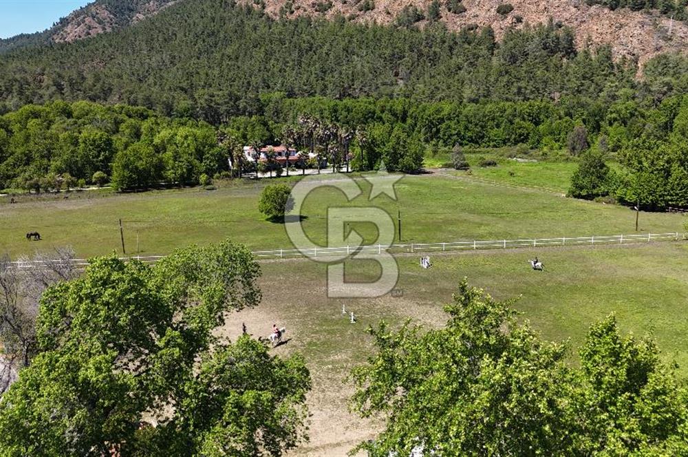 Doğanın Kalbinde Eşsiz Bir Yaşam, Muğla Köyceğiz’de 75 Dönümde Masalsı Malikane ve At Çiftliği 