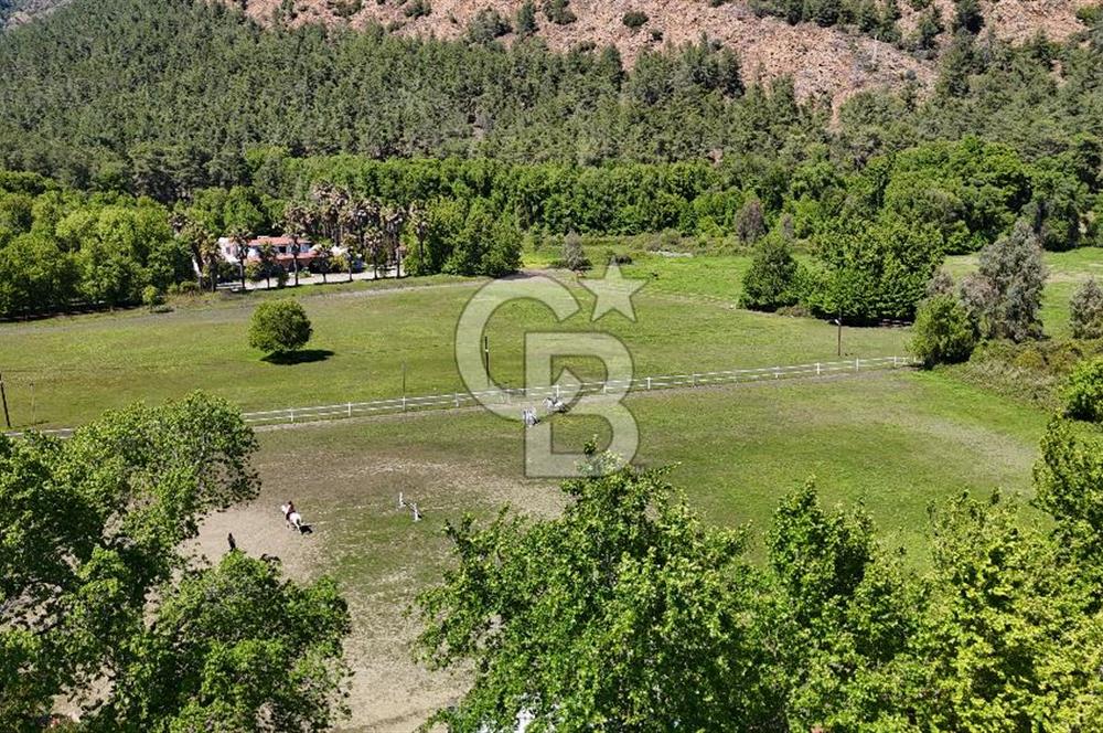 Doğanın Kalbinde Eşsiz Bir Yaşam, Muğla Köyceğiz’de 75 Dönümde Masalsı Malikane ve At Çiftliği 