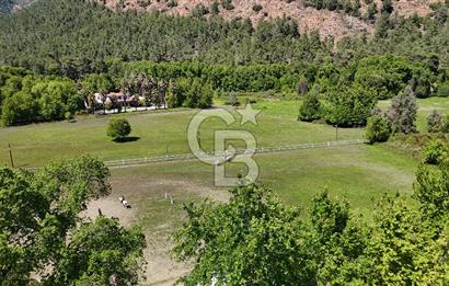 Doğanın Kalbinde Eşsiz Bir Yaşam, Muğla Köyceğiz’de 75 Dönümde Masalsı Malikane ve At Çiftliği 