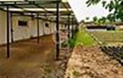 Manisa Saruhanlı da Satılık Hazır Çiftlik