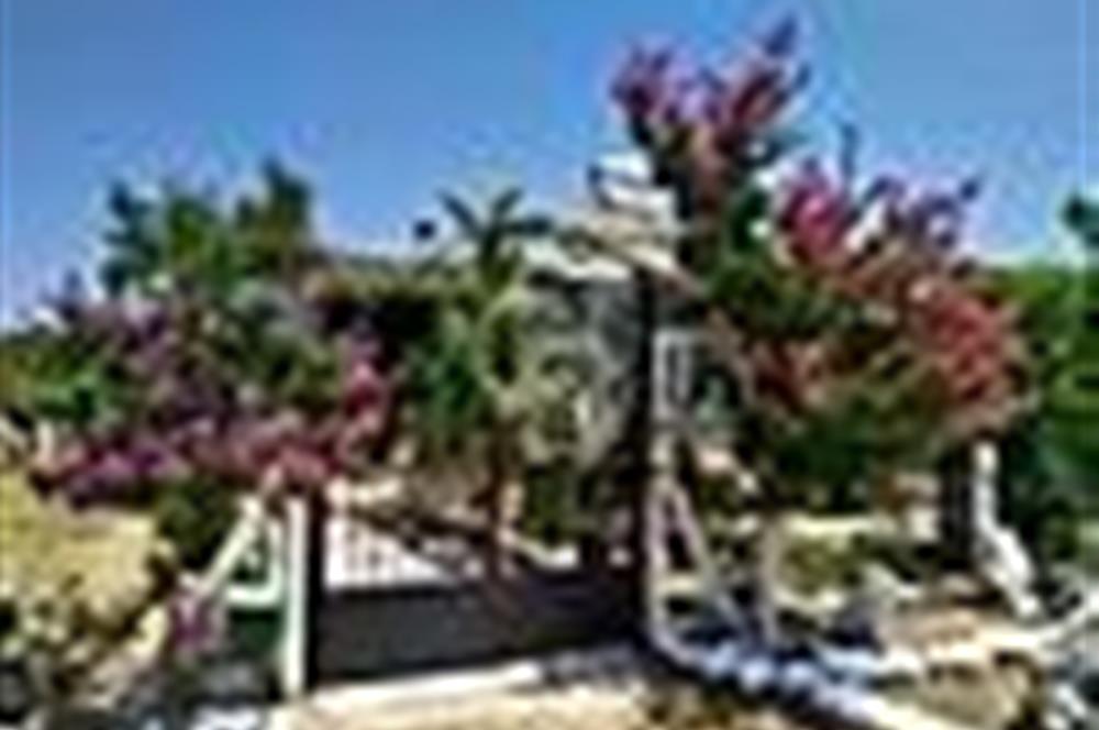 Manisa Saruhanlı da Satılık Hazır Çiftlik