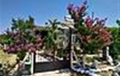Manisa Saruhanlı da Satılık Hazır Çiftlik