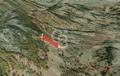 CB AMBIANCE'DAN GÜRSU DIŞKAYA KÖYÜNDE 4255 m2'LİK HİSSELİ TARLA