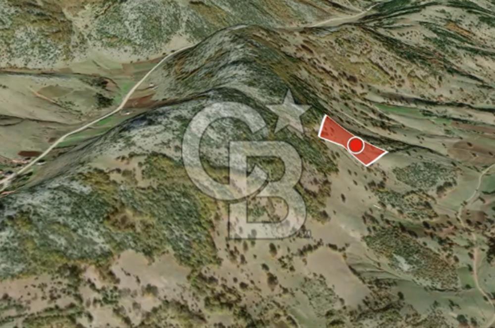 CB AMBIANCE'DAN GÜRSU DIŞKAYA KÖYÜNDE 4255 m2'LİK HİSSELİ TARLA