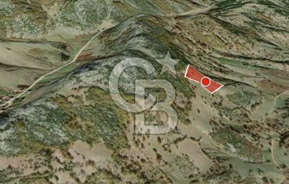 CB AMBIANCE'DAN GÜRSU DIŞKAYA KÖYÜNDE 4255 m2'LİK HİSSELİ TARLA