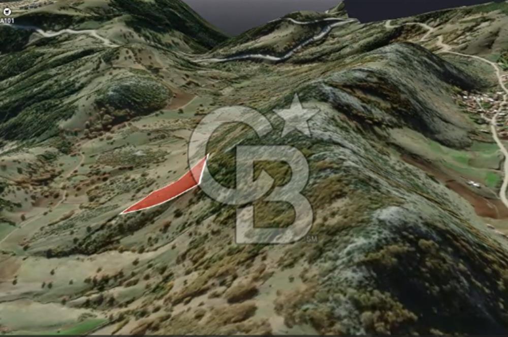 CB AMBIANCE'DAN GÜRSU DIŞKAYA KÖYÜNDE 4255 m2'LİK HİSSELİ TARLA