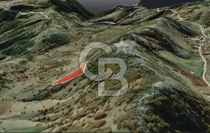 CB AMBIANCE'DAN GÜRSU DIŞKAYA KÖYÜNDE 4255 m2'LİK HİSSELİ TARLA
