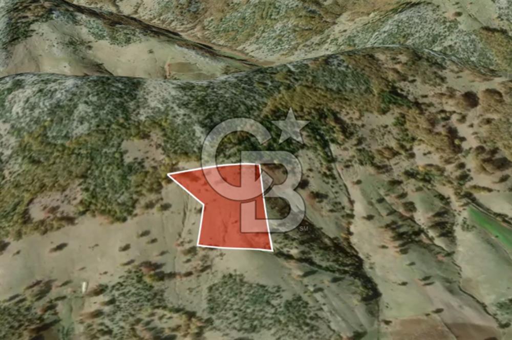 CB AMBIANCE'DAN GÜRSU DIŞKAYA KÖYÜNDE 4255 m2'LİK HİSSELİ TARLA
