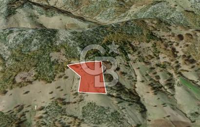 CB AMBIANCE'DAN GÜRSU DIŞKAYA KÖYÜNDE 4255 m2'LİK HİSSELİ TARLA