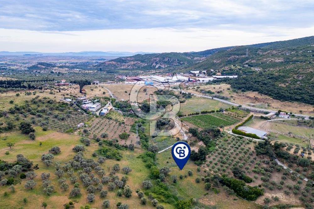 Foça Kozbeyli'de Satılık Tarla