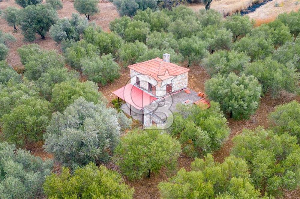 Foça Kozbeyli'de Satılık Tarla