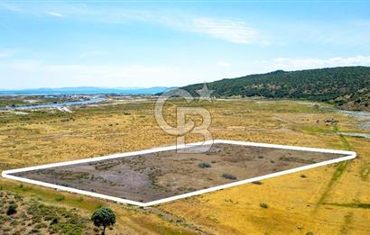 Foça Yenibağarası'nda Satılık Müstakil Parsel Tarla