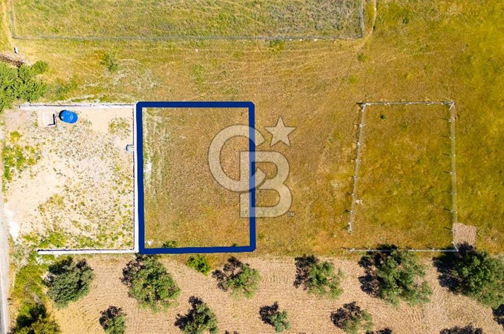 Foça İzmir Karayolu Üzeri Satılık 423 m2 Tarla