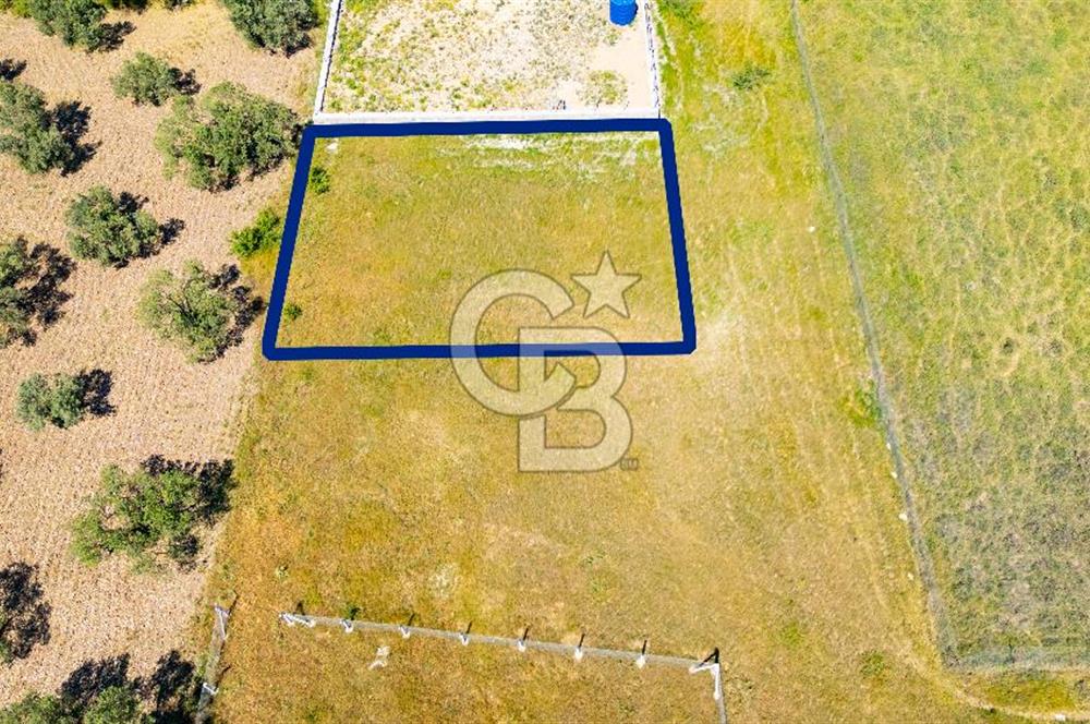 Foça İzmir Karayolu Üzeri Satılık 423 m2 Tarla