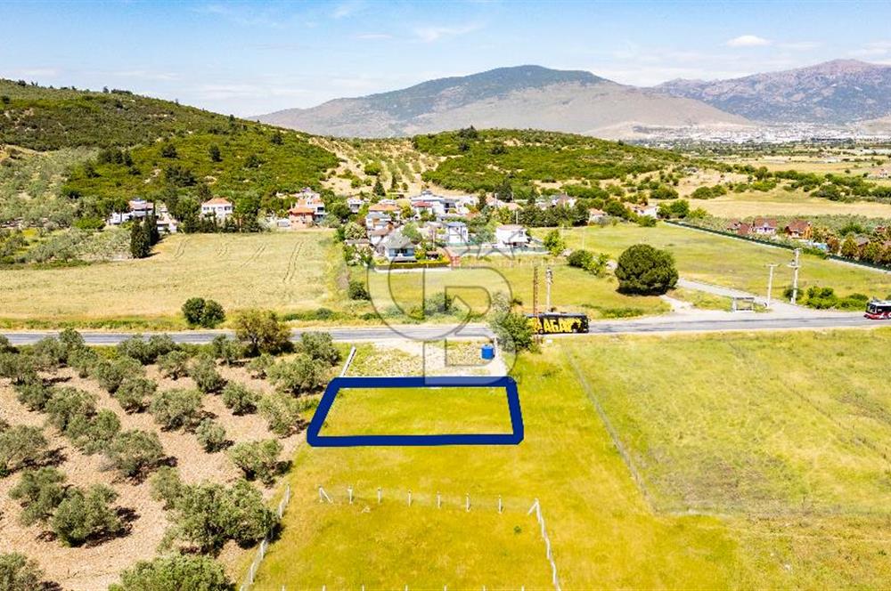 Foça İzmir Karayolu Üzeri Satılık 423 m2 Tarla