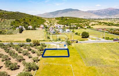 Foça İzmir Karayolu Üzeri Satılık 423 m2 Tarla