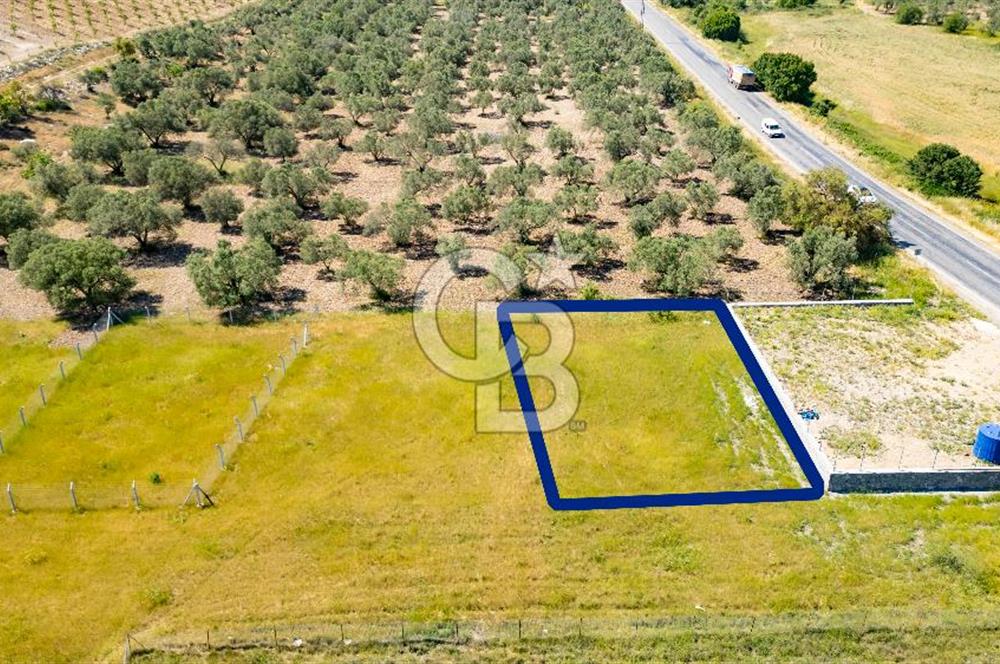Foça İzmir Karayolu Üzeri Satılık 423 m2 Tarla