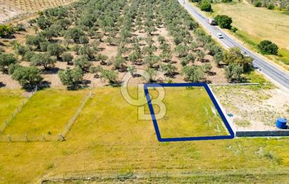 Foça İzmir Karayolu Üzeri Satılık 423 m2 Tarla