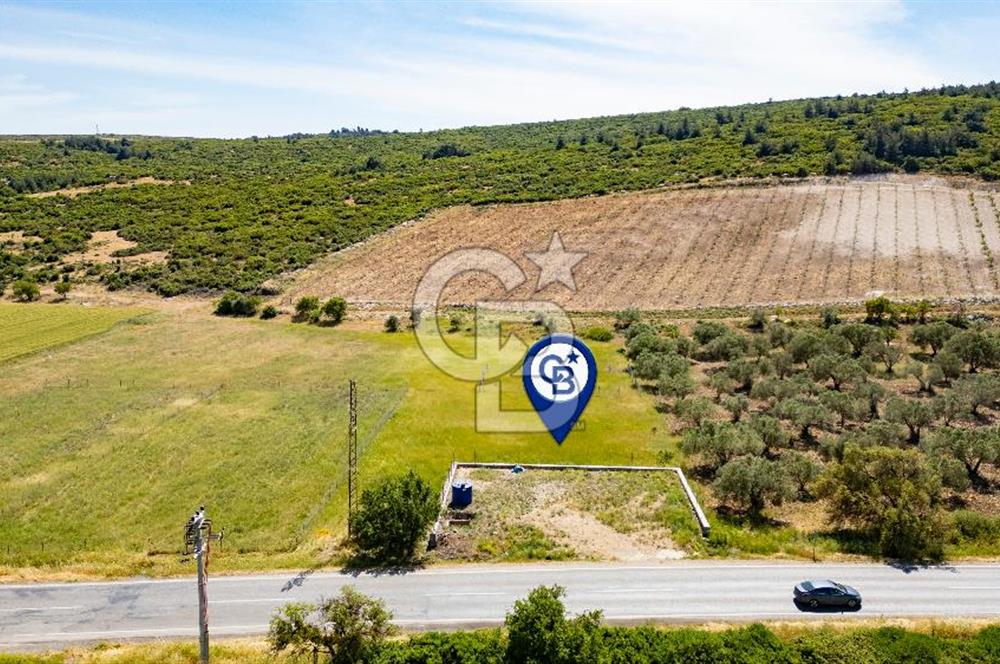 Foça İzmir Karayolu Üzeri Satılık 423 m2 Tarla