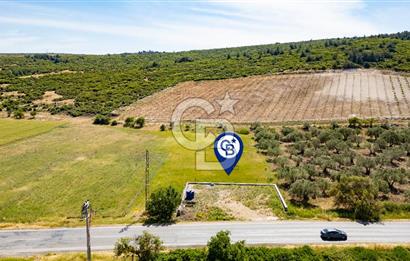 Foça İzmir Karayolu Üzeri Satılık 423 m2 Tarla