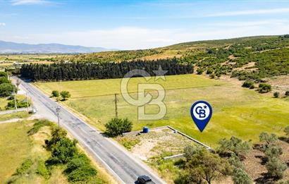 Foça İzmir Karayolu Üzeri Satılık 423 m2 Tarla