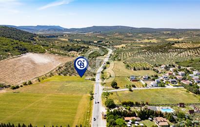 Foça İzmir Karayolu Üzeri Satılık 423 m2 Tarla