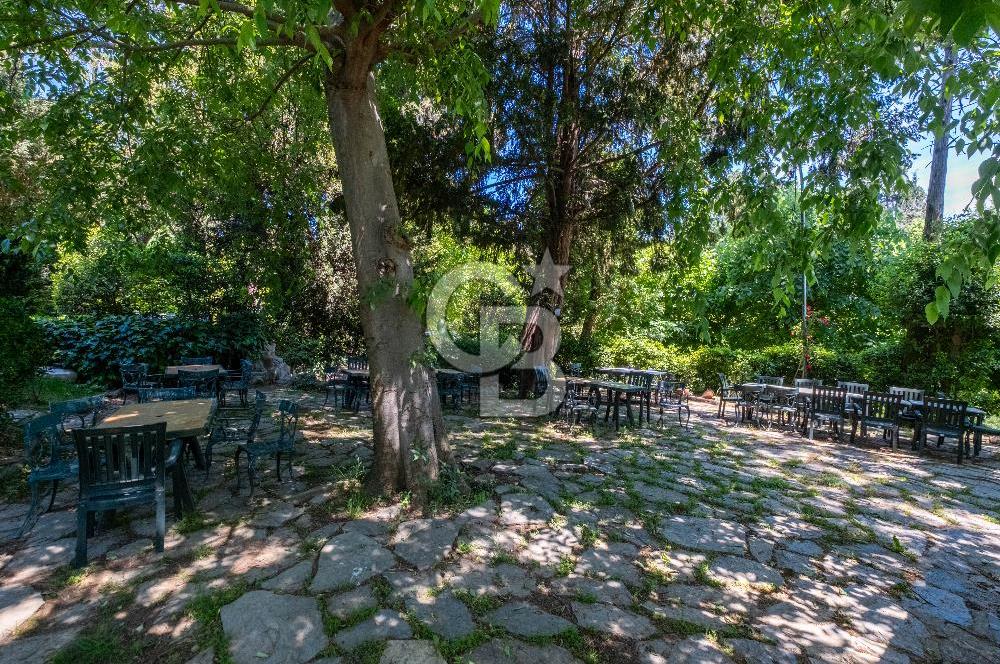 ALTUNİZADE MESA KORU EVLERI SATILIK 5+2 DUBLEKS 