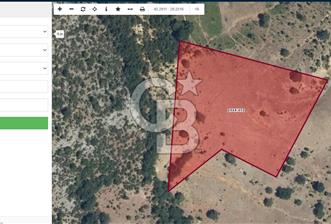 CB AMBIANCE'DAN GÜRSU DIŞKAYA KÖYÜNDE 4255 m2'LİK HİSSELİ TARLA