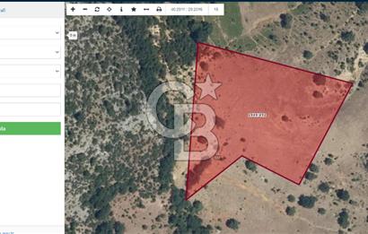 CB AMBIANCE'DAN GÜRSU DIŞKAYA KÖYÜNDE 4255 m2'LİK HİSSELİ TARLA