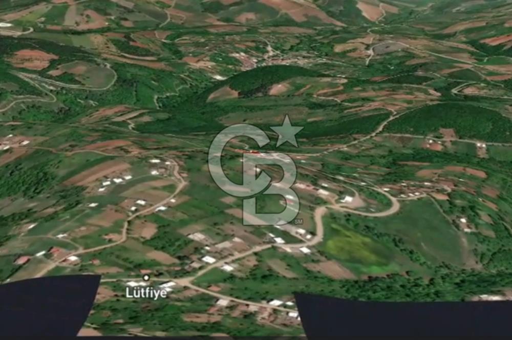 CB AMBIANCE'DAN KESTEL LÜTFİYE KÖYÜ'NDE SATILIK HİSSELİ TARLA