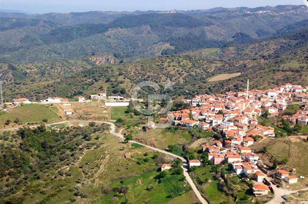 Beyler Baraj Manzaralı 2837 m2 Satılık Bağ ve Kayıtlı Evi