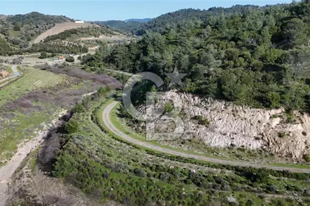 Beyler Baraj Manzaralı 2837 m2 Satılık Bağ ve Kayıtlı Evi