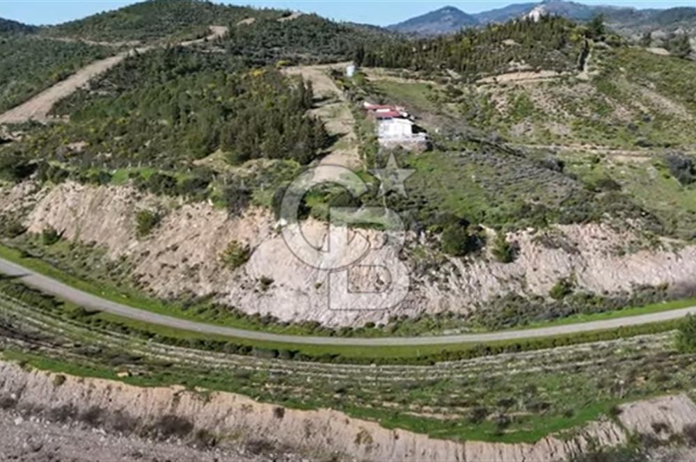 Beyler Baraj Manzaralı 2837 m2 Satılık Bağ ve Kayıtlı Evi