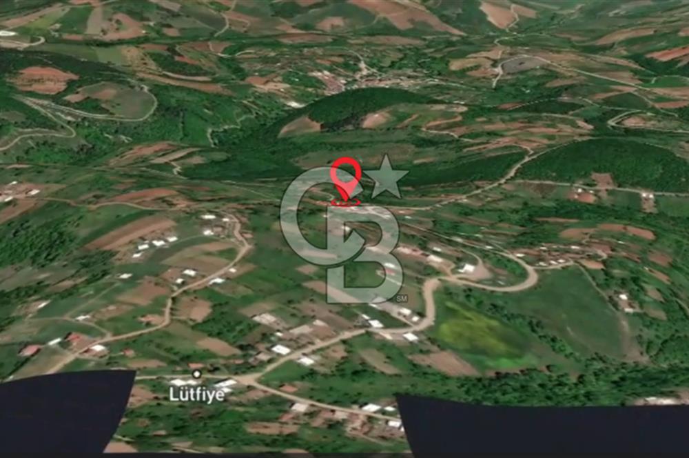 CB AMBIANCE'DAN KESTEL LÜTFİYE KÖYÜ'NDE SATILIK HİSSELİ TARLA