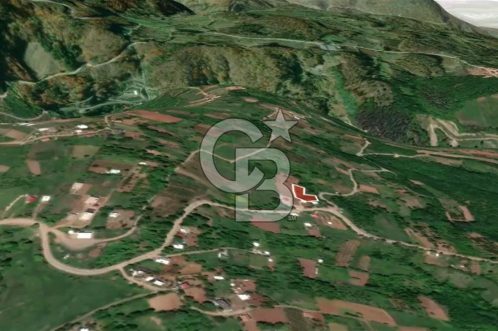 CB AMBIANCE'DAN KESTEL LÜTFİYE KÖYÜ'NDE SATILIK HİSSELİ TARLA