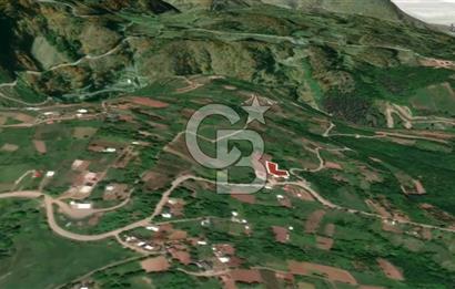 CB AMBIANCE'DAN KESTEL LÜTFİYE KÖYÜ'NDE SATILIK HİSSELİ TARLA