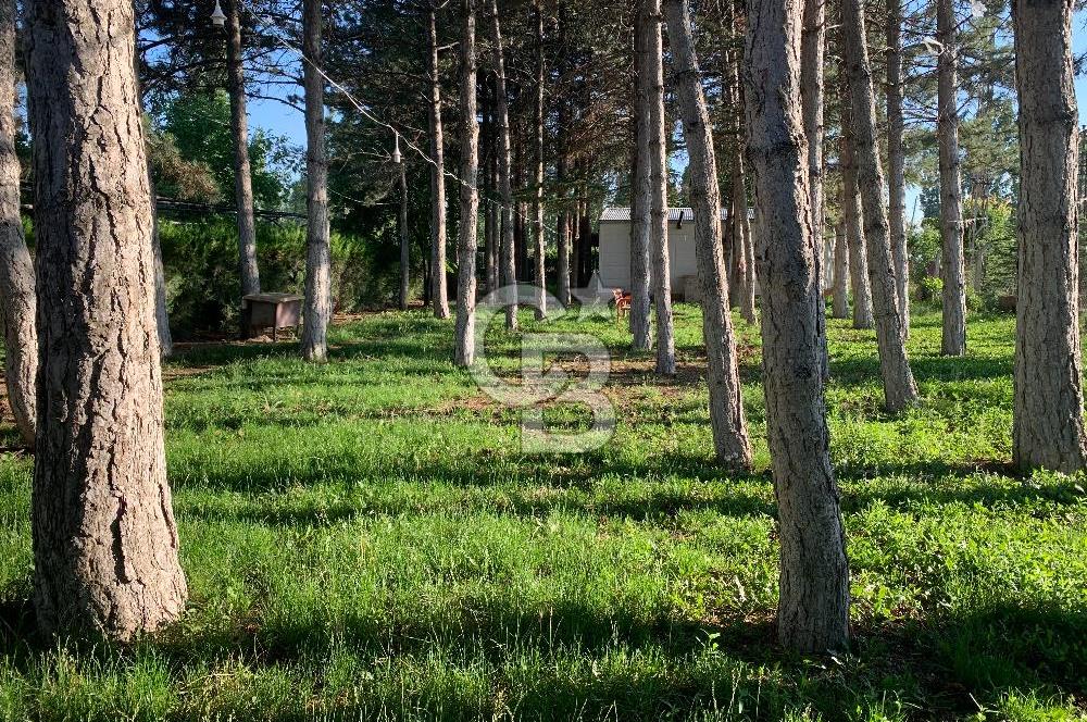 ÇUBUK TAŞPINARDA ASVALT YOLA ÇEPHE SATILIK ÇİFLİK EVİ