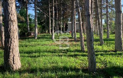 ÇUBUK TAŞPINARDA ASVALT YOLA ÇEPHE SATILIK ÇİFLİK EVİ