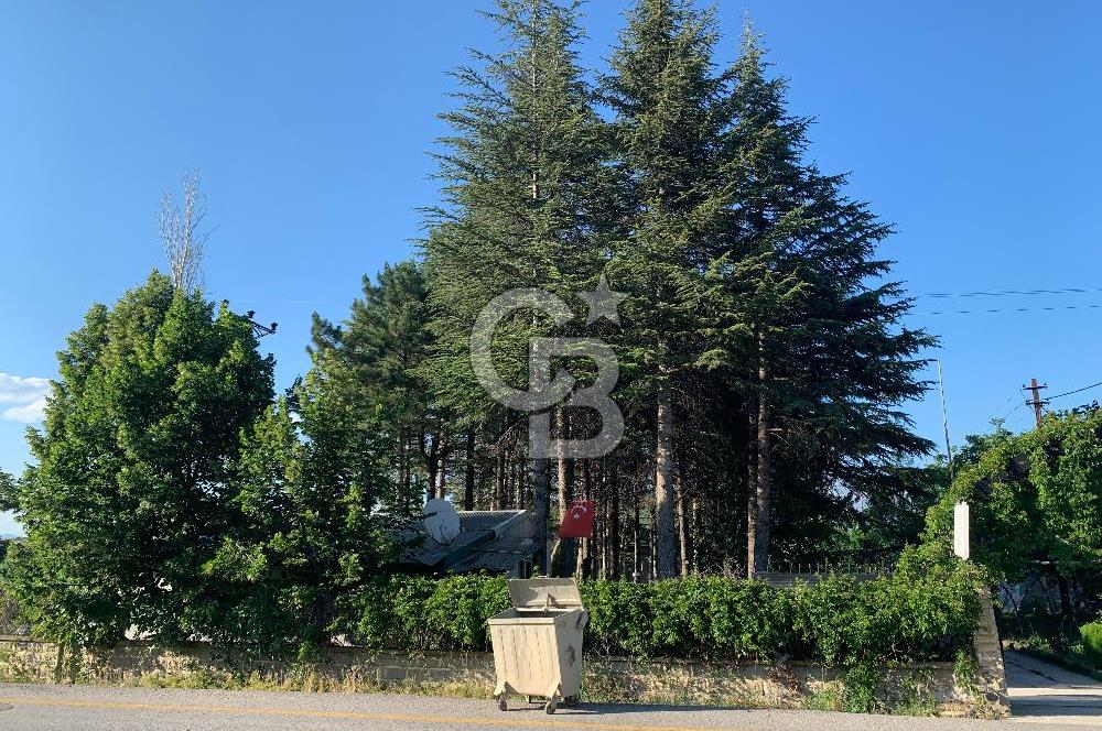ÇUBUK TAŞPINARDA ASVALT YOLA ÇEPHE SATILIK ÇİFLİK EVİ
