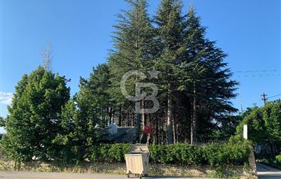 ÇUBUK TAŞPINARDA ASVALT YOLA ÇEPHE SATILIK ÇİFLİK EVİ