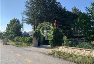 ÇUBUK TAŞPINARDA ASVALT YOLA ÇEPHE SATILIK ÇİFLİK EVİ